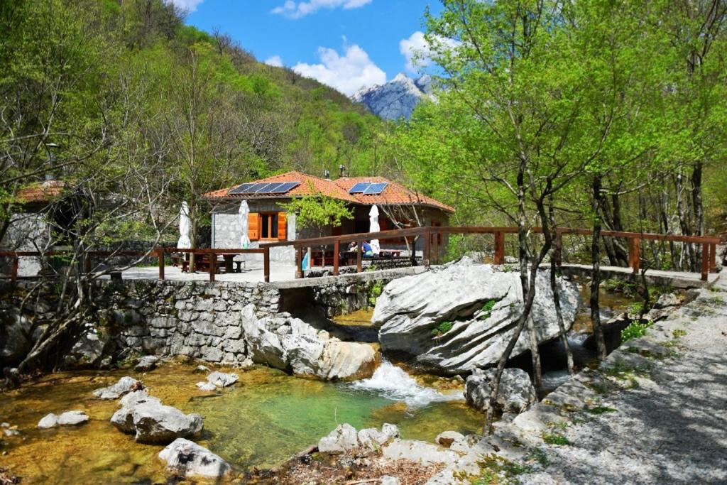 Apartmani Goga Seline Exterior photo